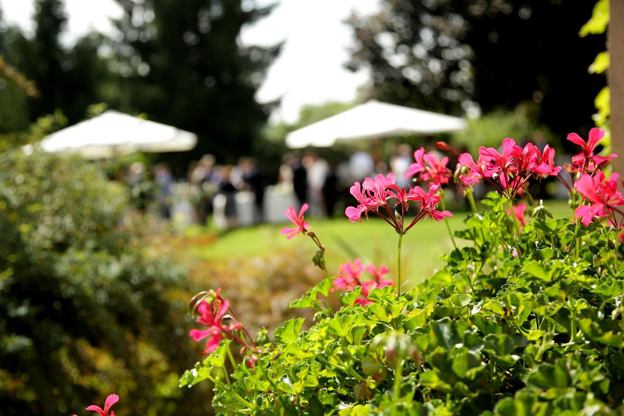 Albergo Ristorante Belvedere Tricesimo Exterior foto